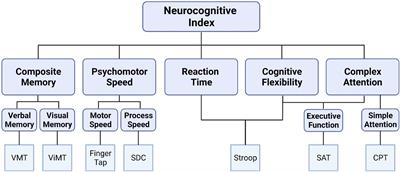 An examination of the relationship among plasma brain derived neurotropic factor, peripheral vascular function, and body composition with cognition in midlife African Americans/Black individuals